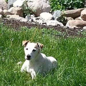 Meet your Posher, Lynn marie